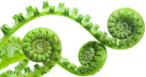 Mag een beetje groen ook?